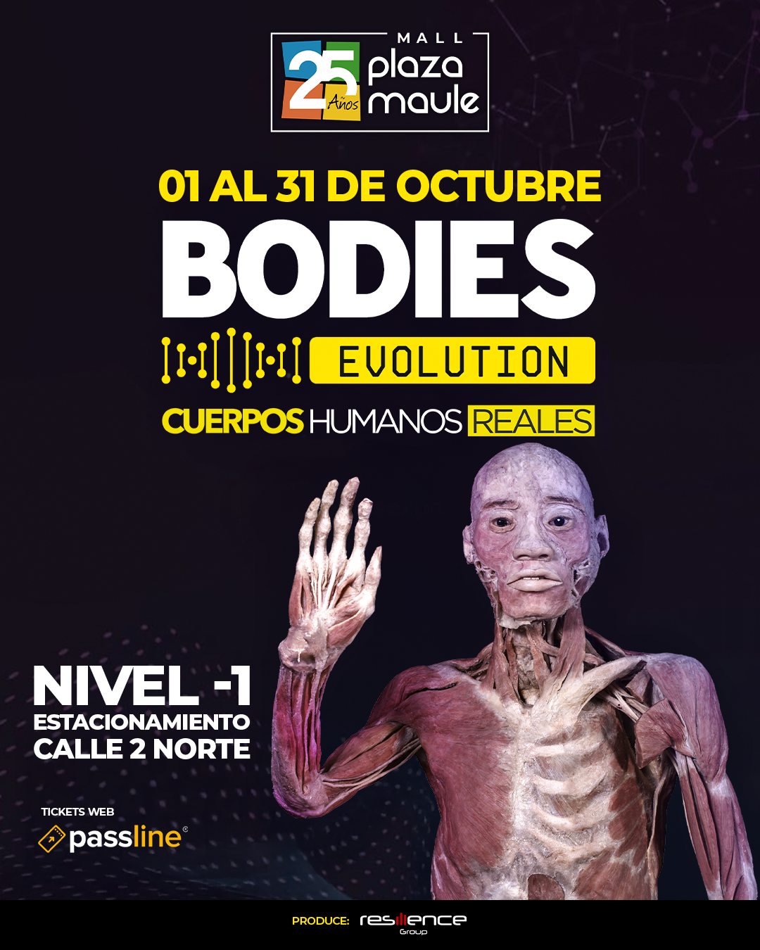 EXPO BODIES FEED